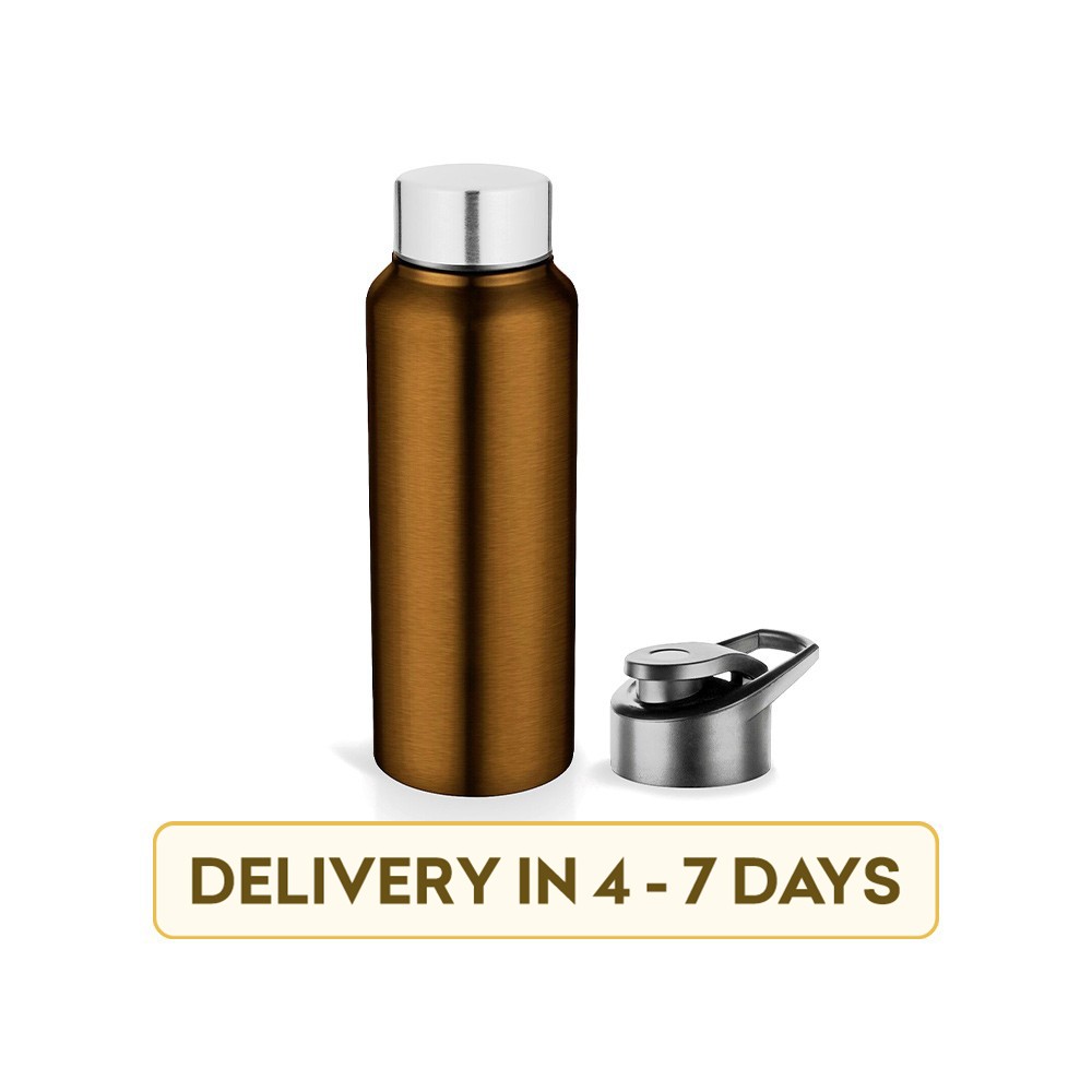 Pexpo PXP 1009 BK-BR Elegant Chromo Series Fridge, Sports, School Water Stainless Steel Bottle (500 ml, Brown)